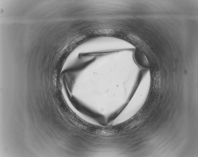 X0000058120739200510212020