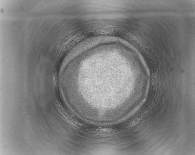 X0000058120741200510212020