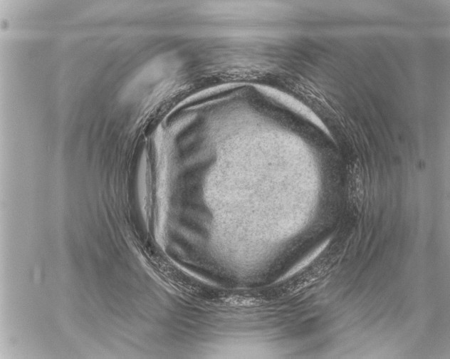 X0000058120742200510212020