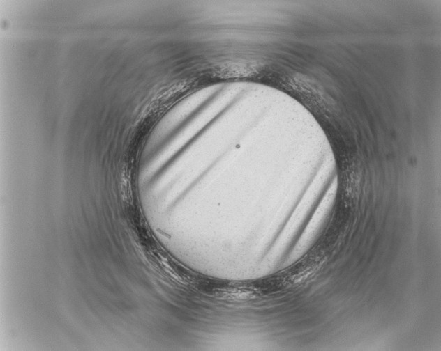 X0000058120743200510212020