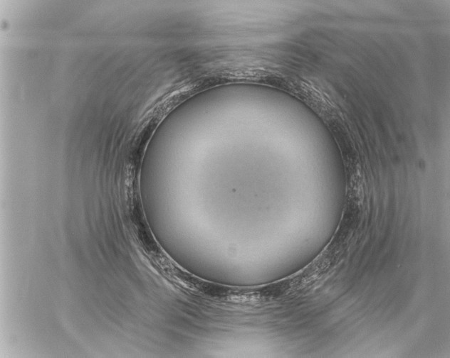 X0000058120744200510212020