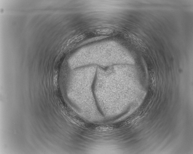 X0000058120745200510212020