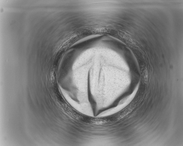 X0000058120746200510212020