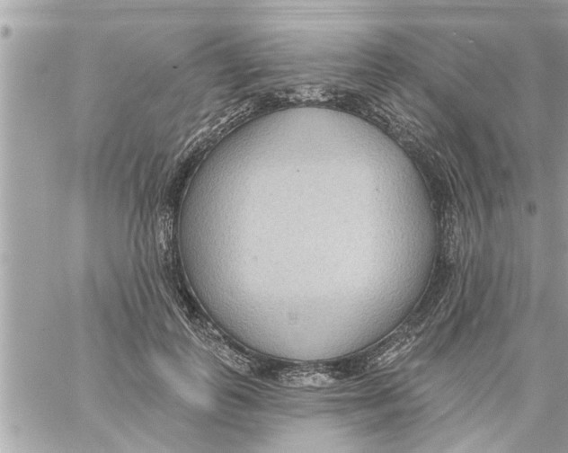 X0000058120747200510212020