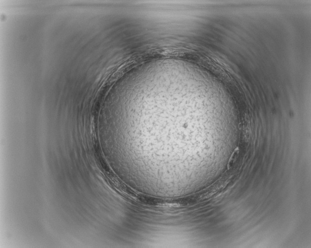 X0000058120748200510212020