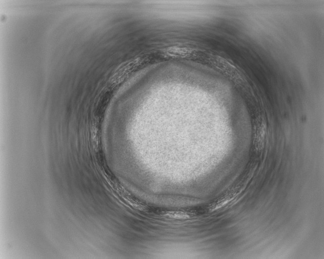 X0000058120749200510212020