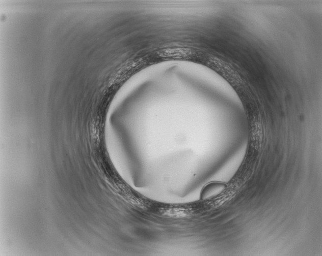 X0000058120751200510212020