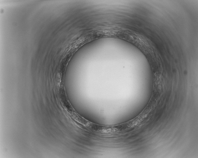 X0000058120752200510212020