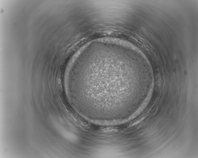 X0000058120754200510212020