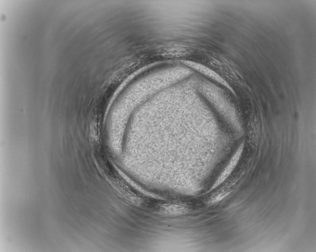 X0000058120755200510212020