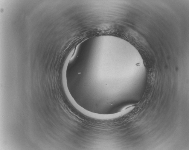 X0000058120756200510212020