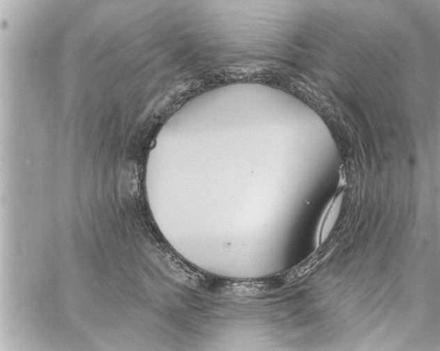 X0000058120758200510212020