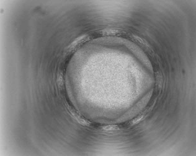 X0000058120761200510212020