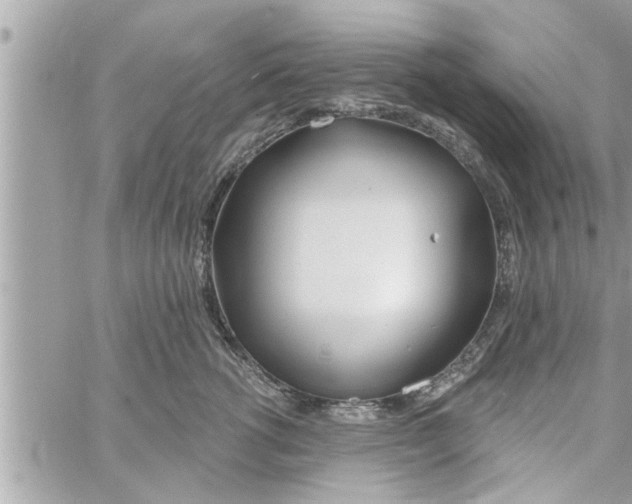 X0000058120762200510212020