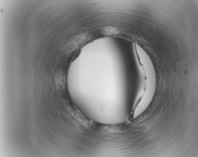 X0000058120763200510212020