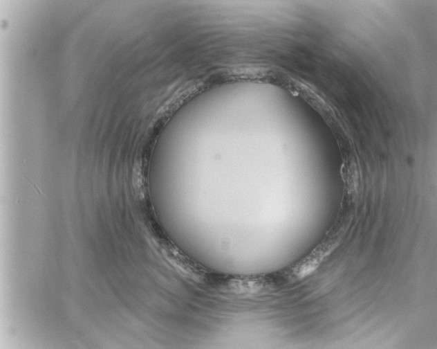 X0000058120764200510212020