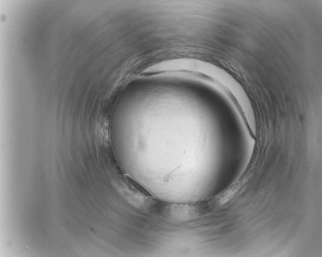 X0000058120766200510212020