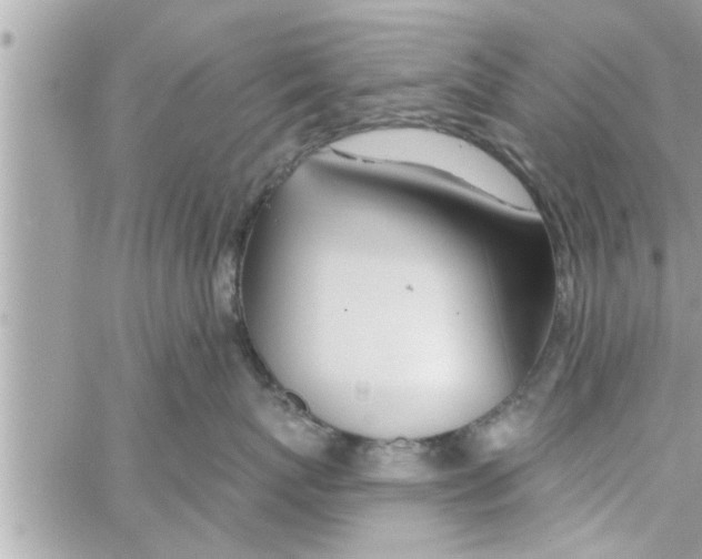 X0000058120767200510212020