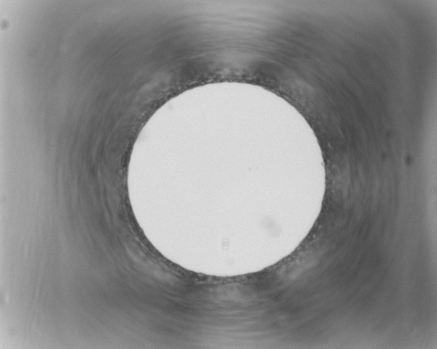 X0000058120769200510212019