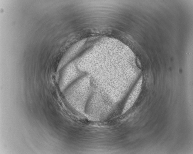 X0000058120770200510212019