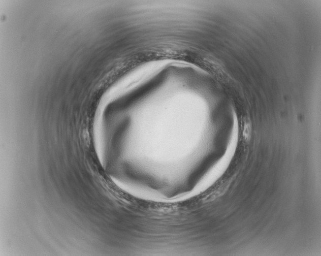 X0000058120771200510212019