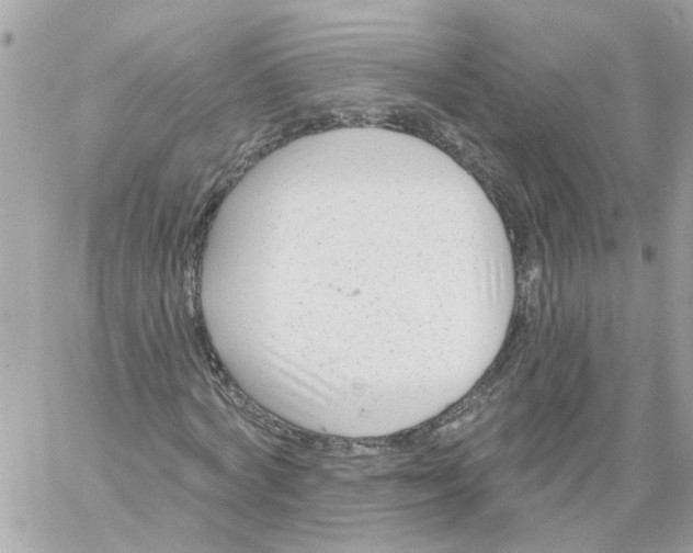 X0000058120772200510212019