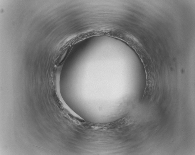 X0000058120773200510212019