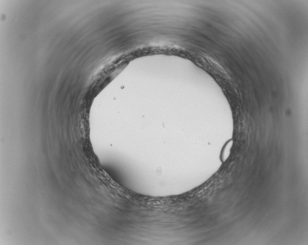 X0000058120776200510212019