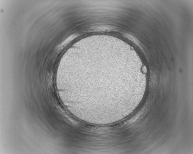 X0000058120778200510212019