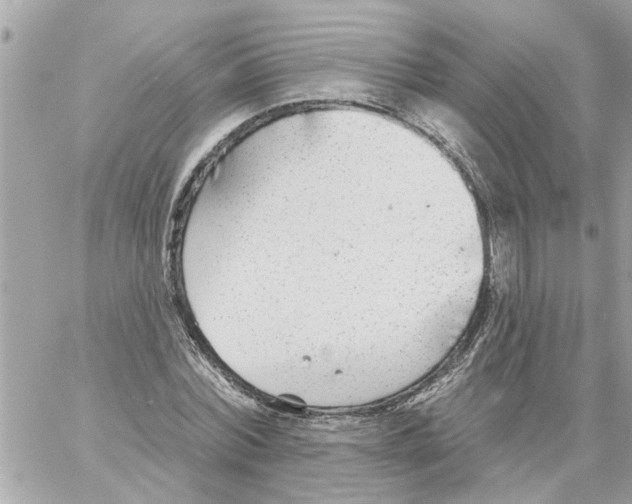 X0000058120780200510212019