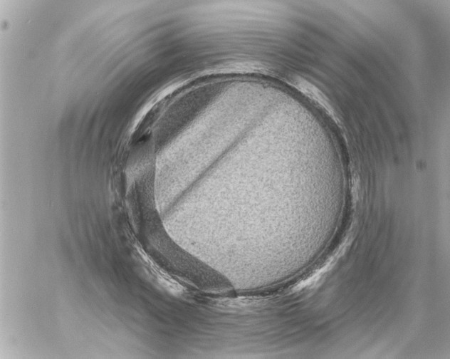 X0000058120781200510212019