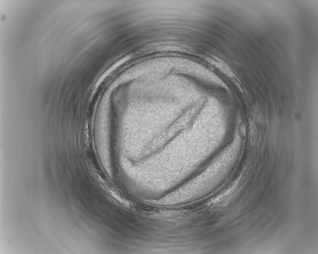 X0000058120782200510212019