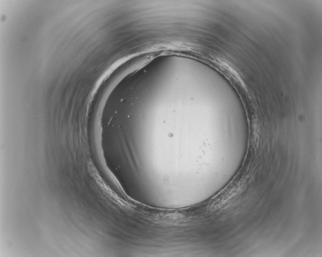 X0000058120784200510212019