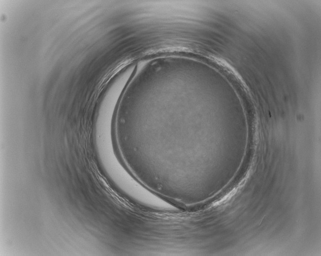 X0000058120785200510212019