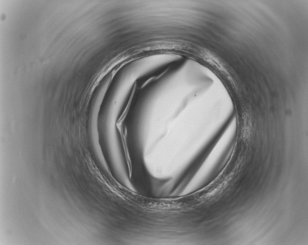 X0000058120786200510212019