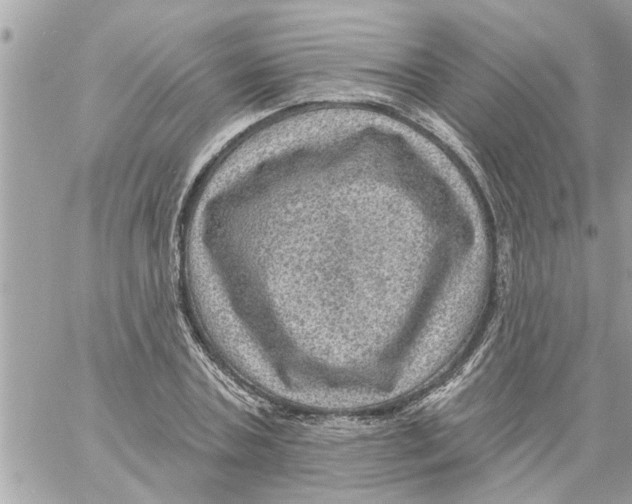 X0000058120787200510212019