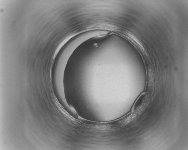 X0000058120788200510212019