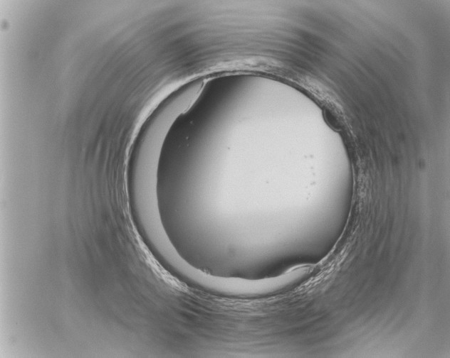 X0000058120792200510212019