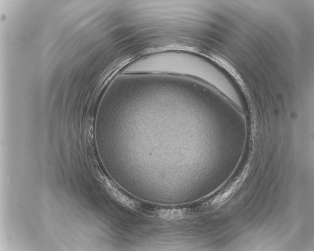 X0000058120793200510212019