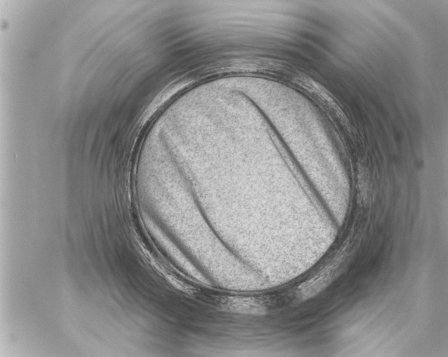 X0000058120794200510212019