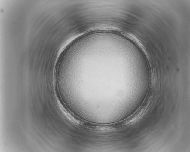 X0000058120795200510212019