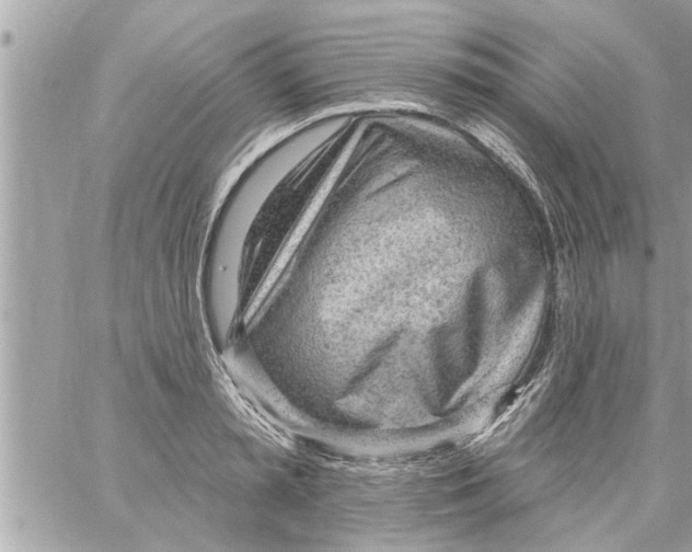 X0000058120797200510212019