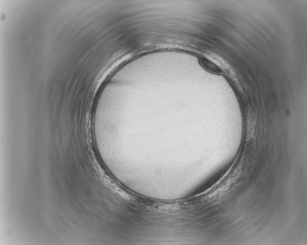 X0000058120798200510212019