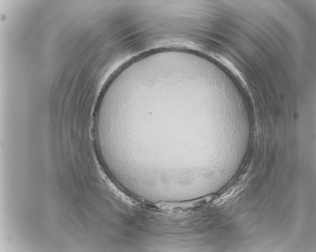 X0000058120799200510212019