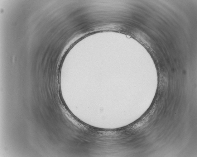 X0000058120800200510212019