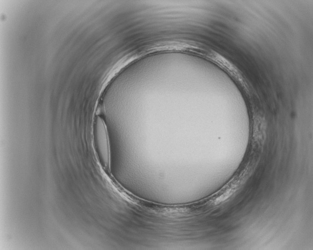 X0000058120802200510212019