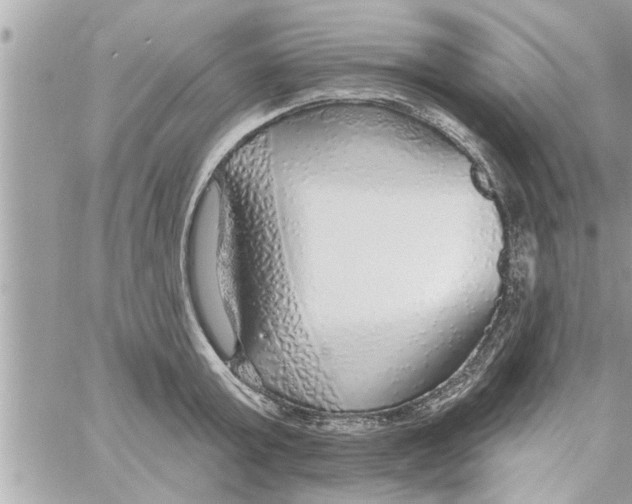 X0000058120803200510212019