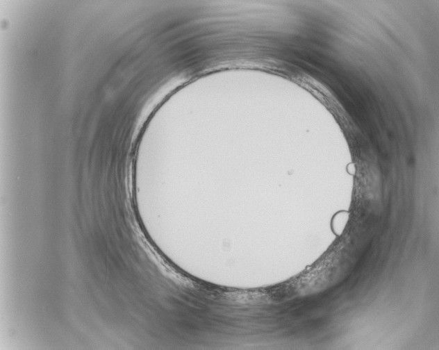 X0000058120804200510212019