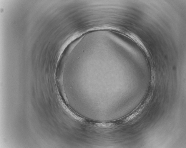 X0000058120805200510212019