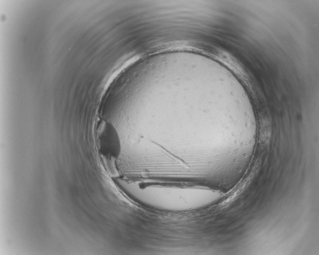 X0000058120806200510212019